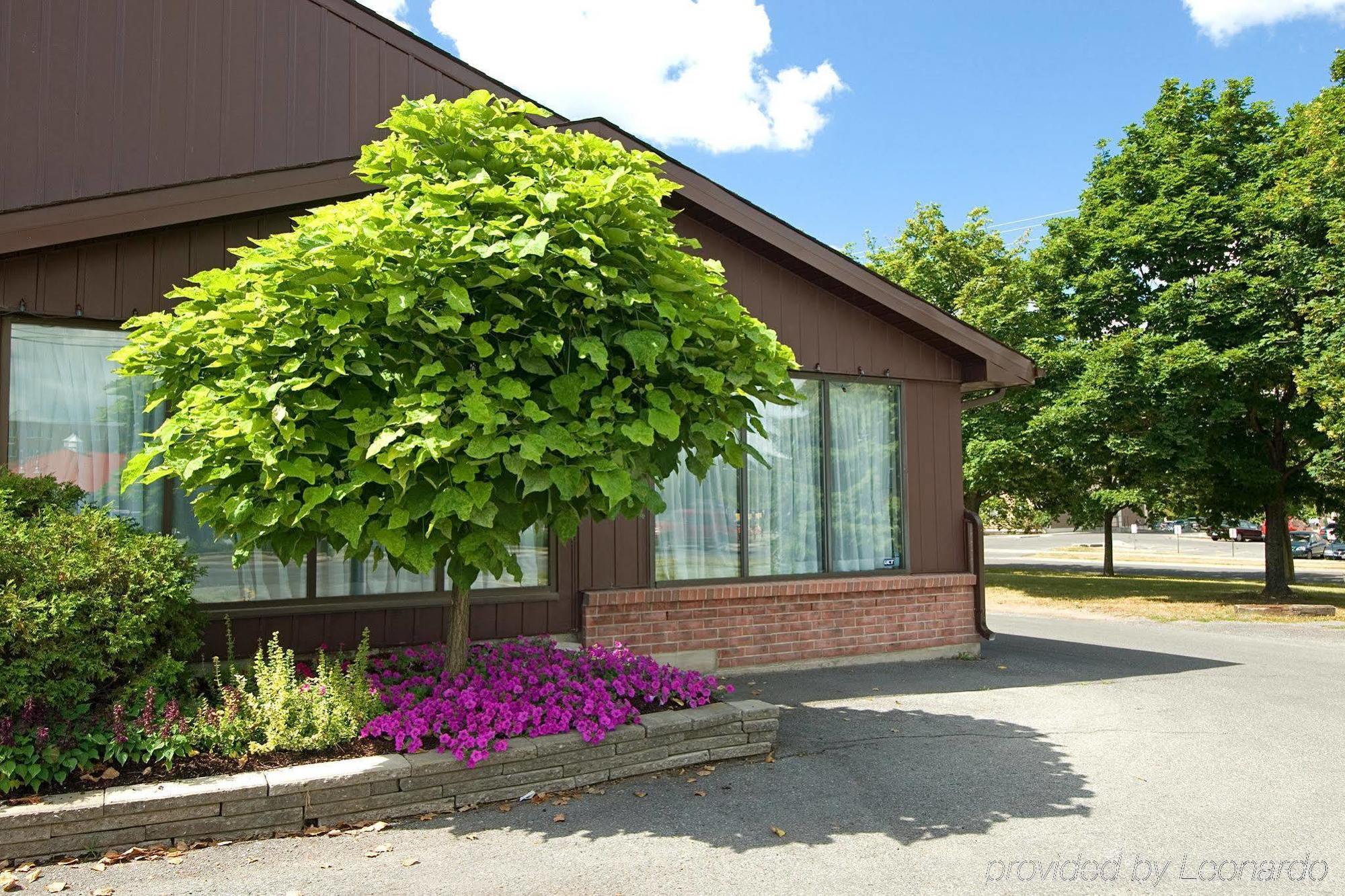 Ramada By Wyndham Kingston Motel Kültér fotó